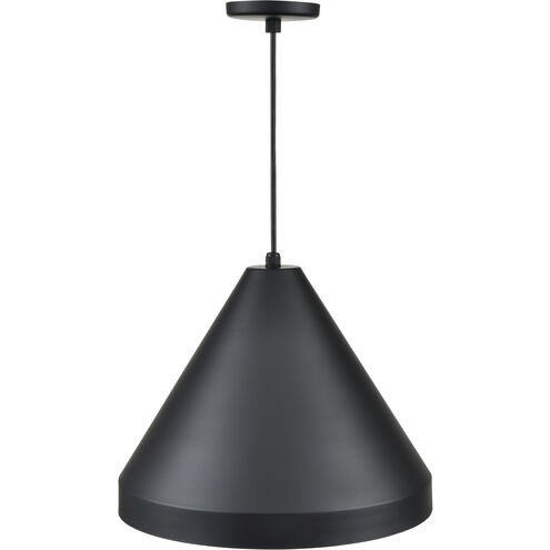 R Series 1 Light 17 inch Satin Black Outdoor Pendant